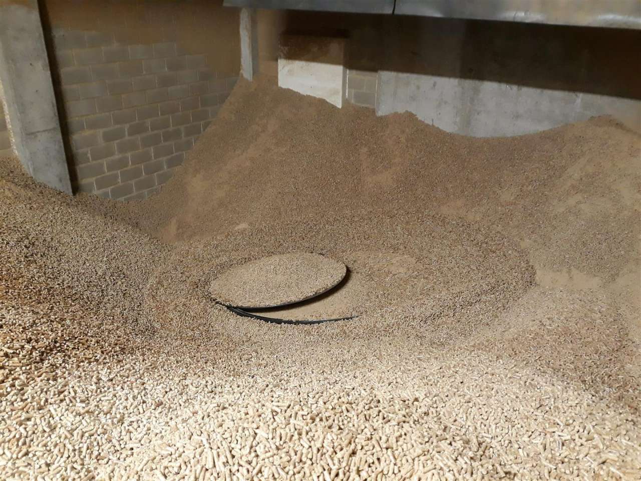 pellets