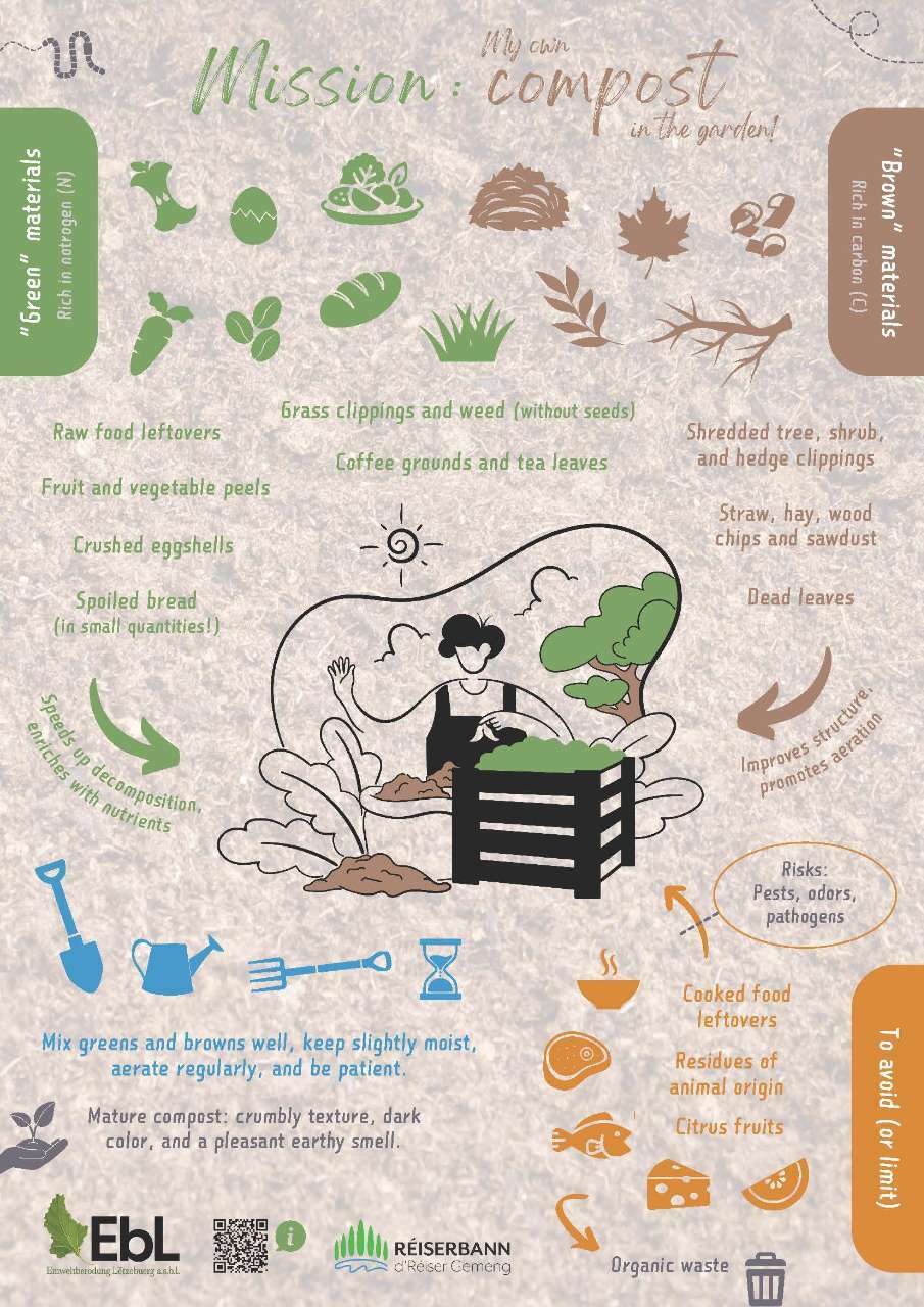 EBL Infografik