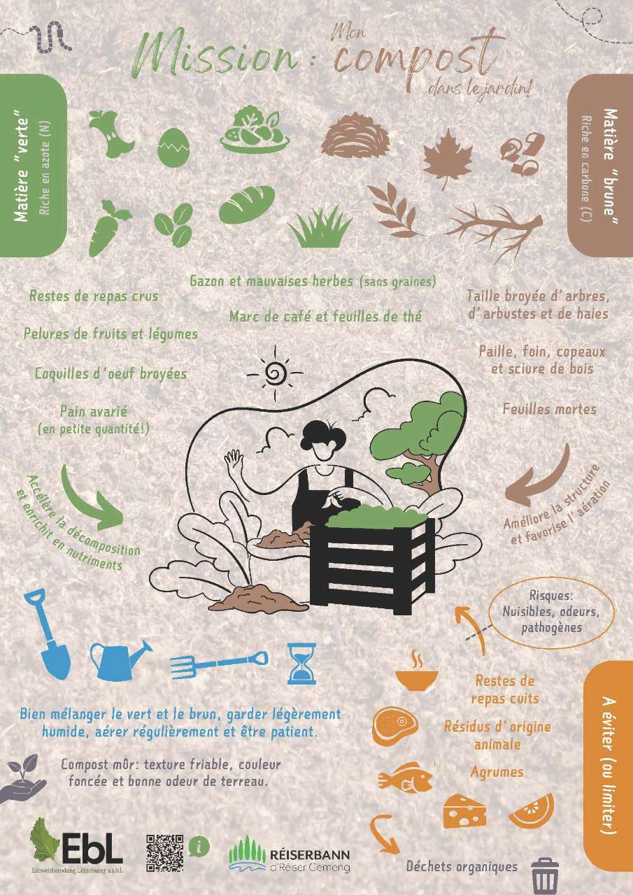 EBL Infografik