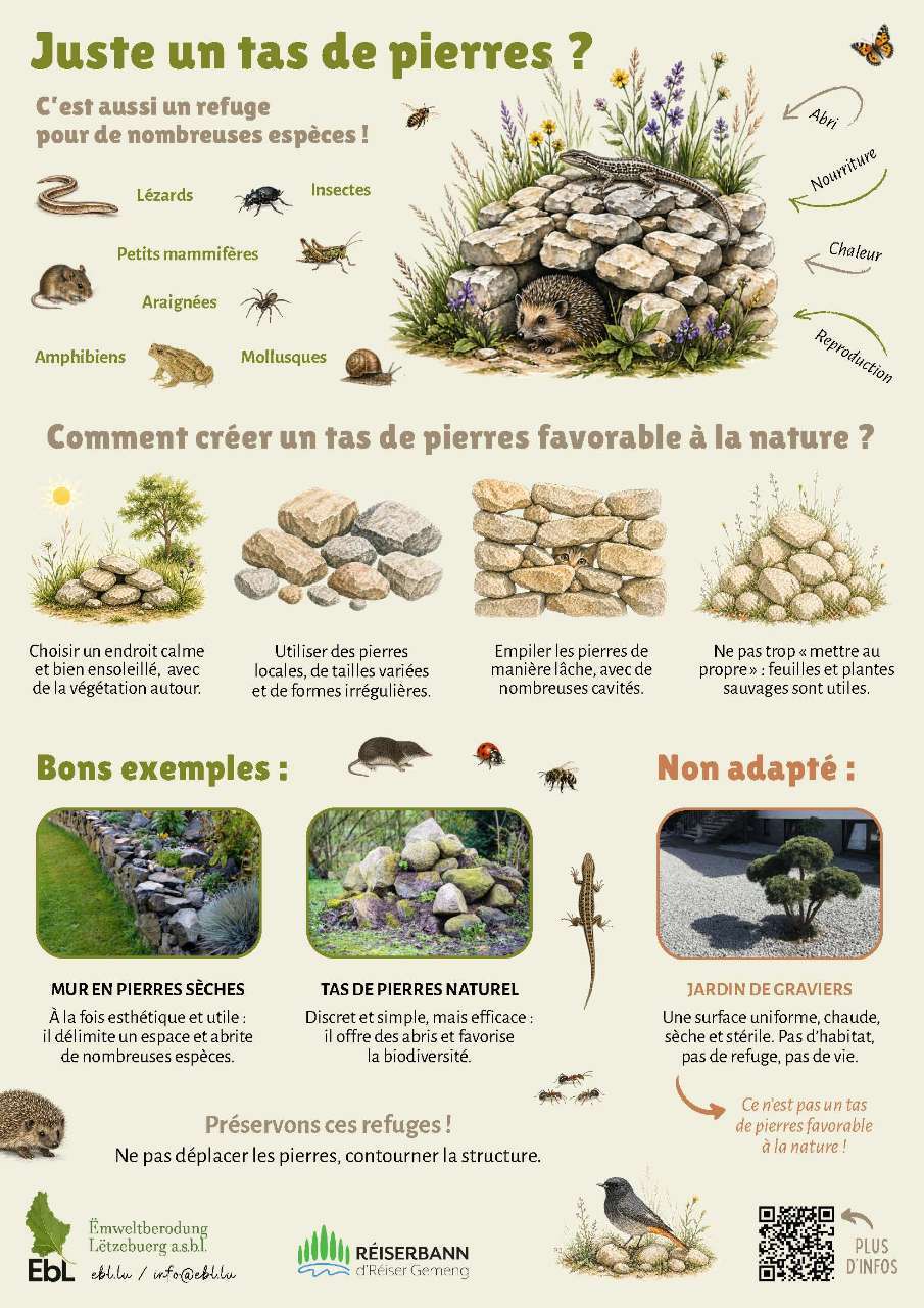 Juste un tas de pierres?