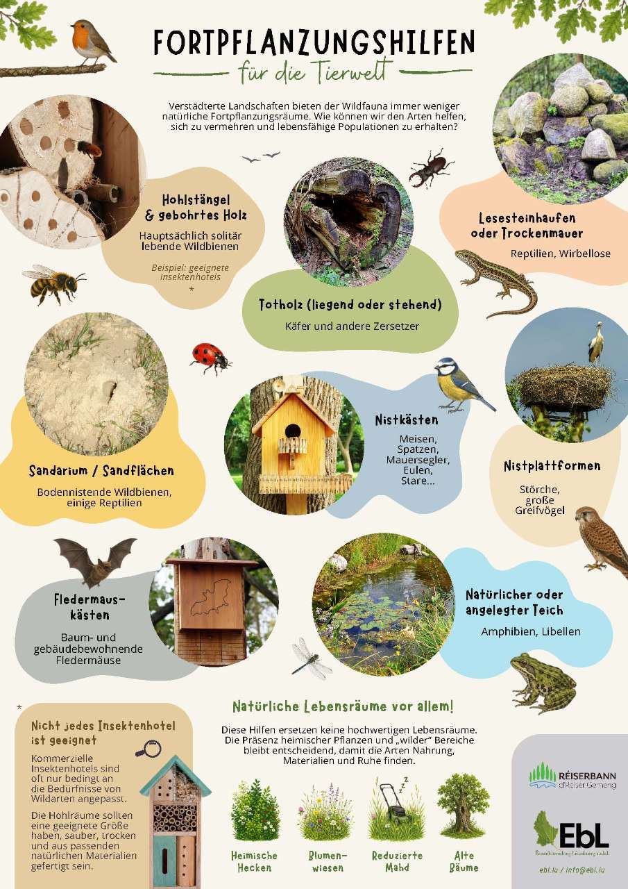 Fortpflanzungshilfen für die Tierwelt