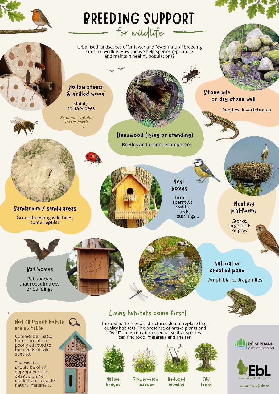 Breeding support for wildlife